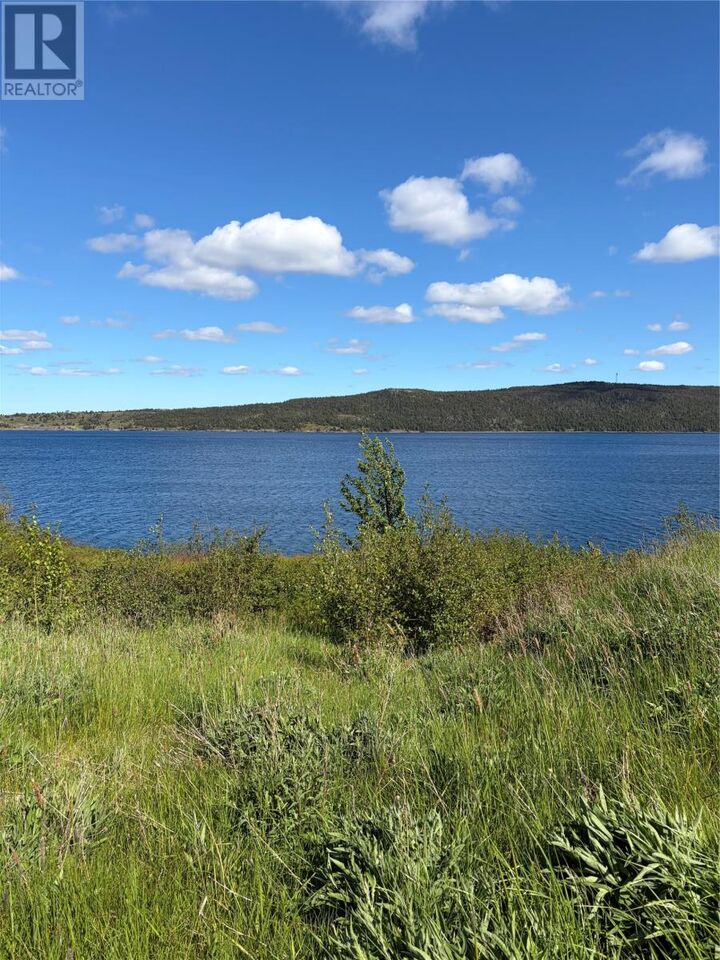 Property Photo:  118 Corporal Jamie Murphy Drive  NL A0A 1Z0 