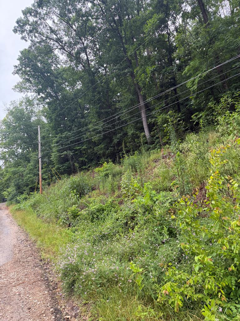 Property Photo:  00000 Bob O Link Trail  KY 41129 
