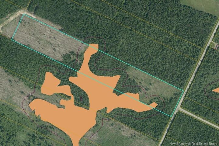 Acreage Route 445 Legaceville Road — photo 1