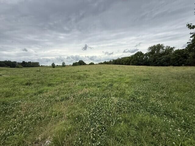 Property Photo: 665 Lillies Ferry Road KY 40391