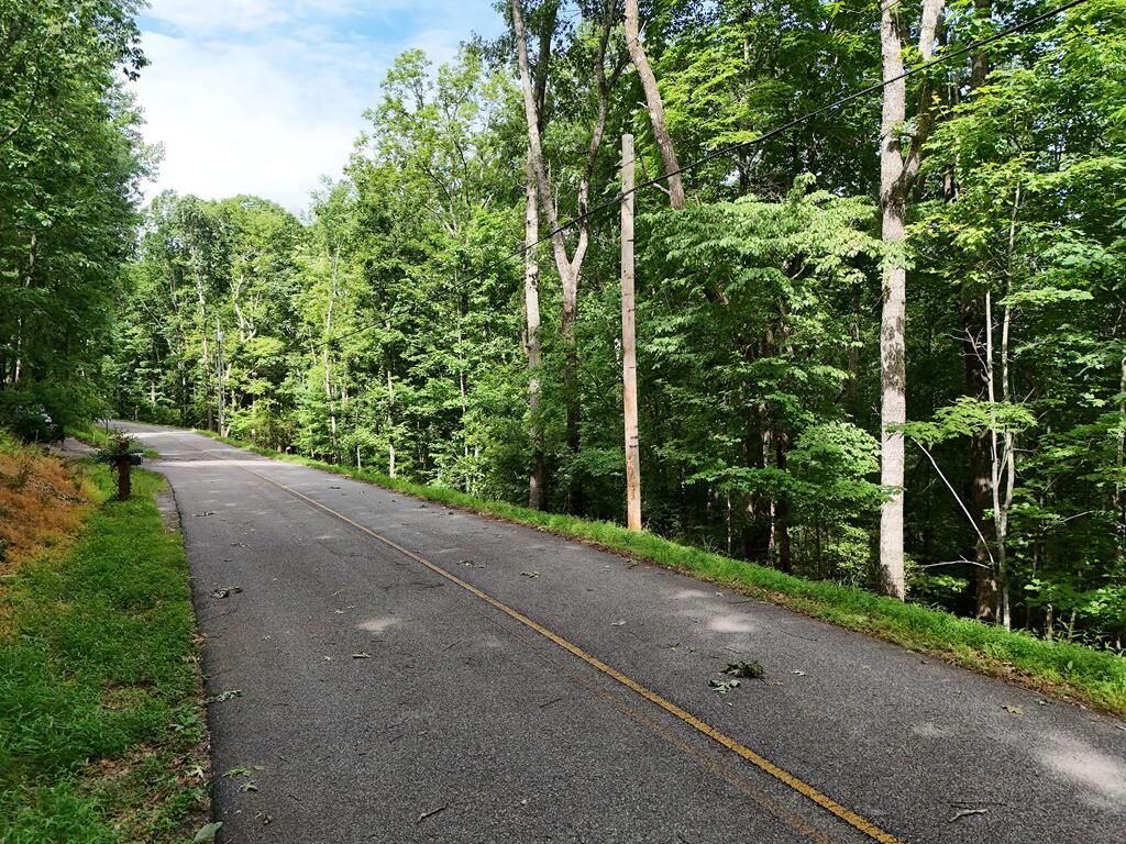 Property Photo:  Lot 131 Laurel Crossing  GA 30513 