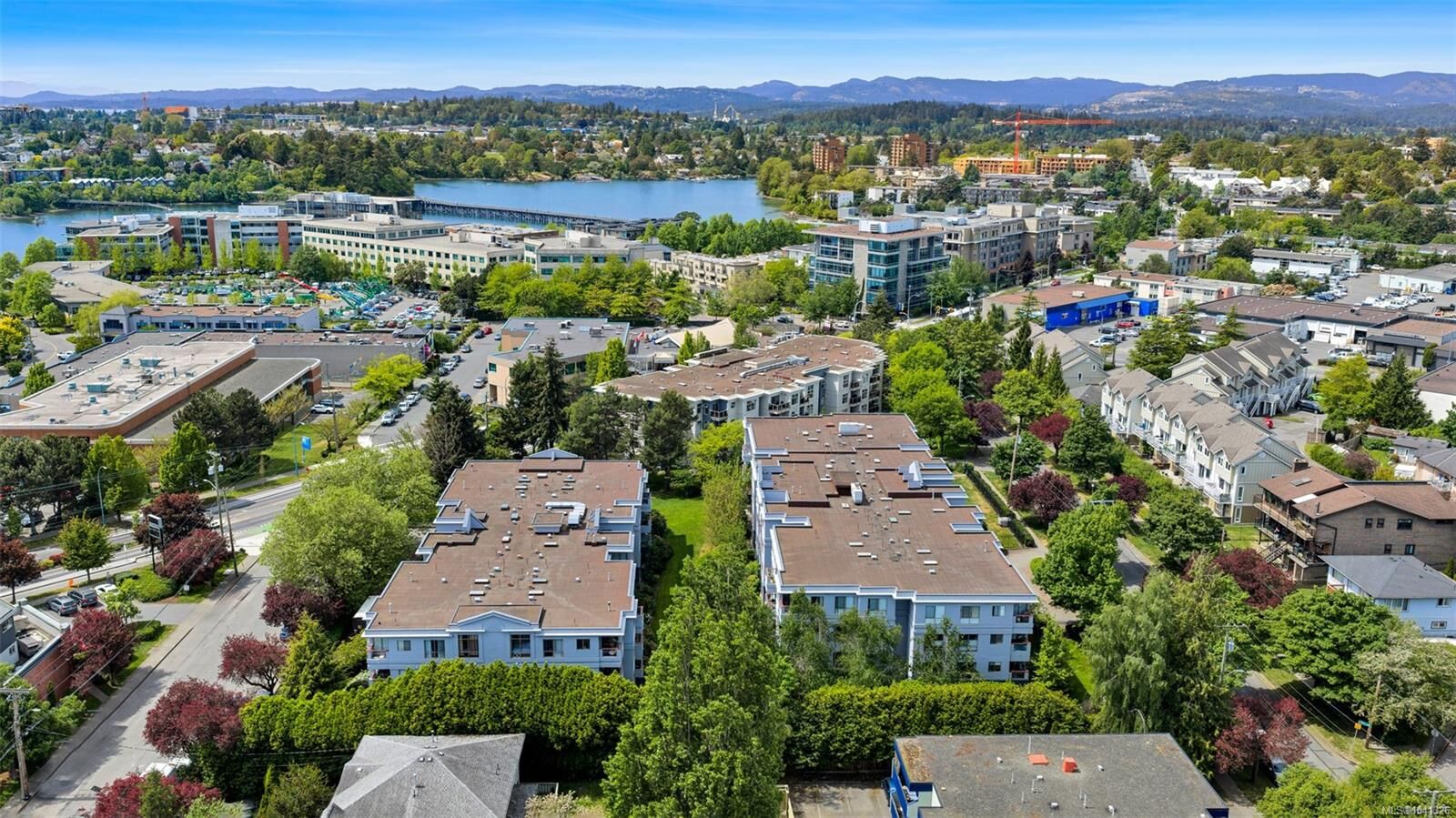 Property Photo: 520 Dunedin St #409 BC V8T 2L6