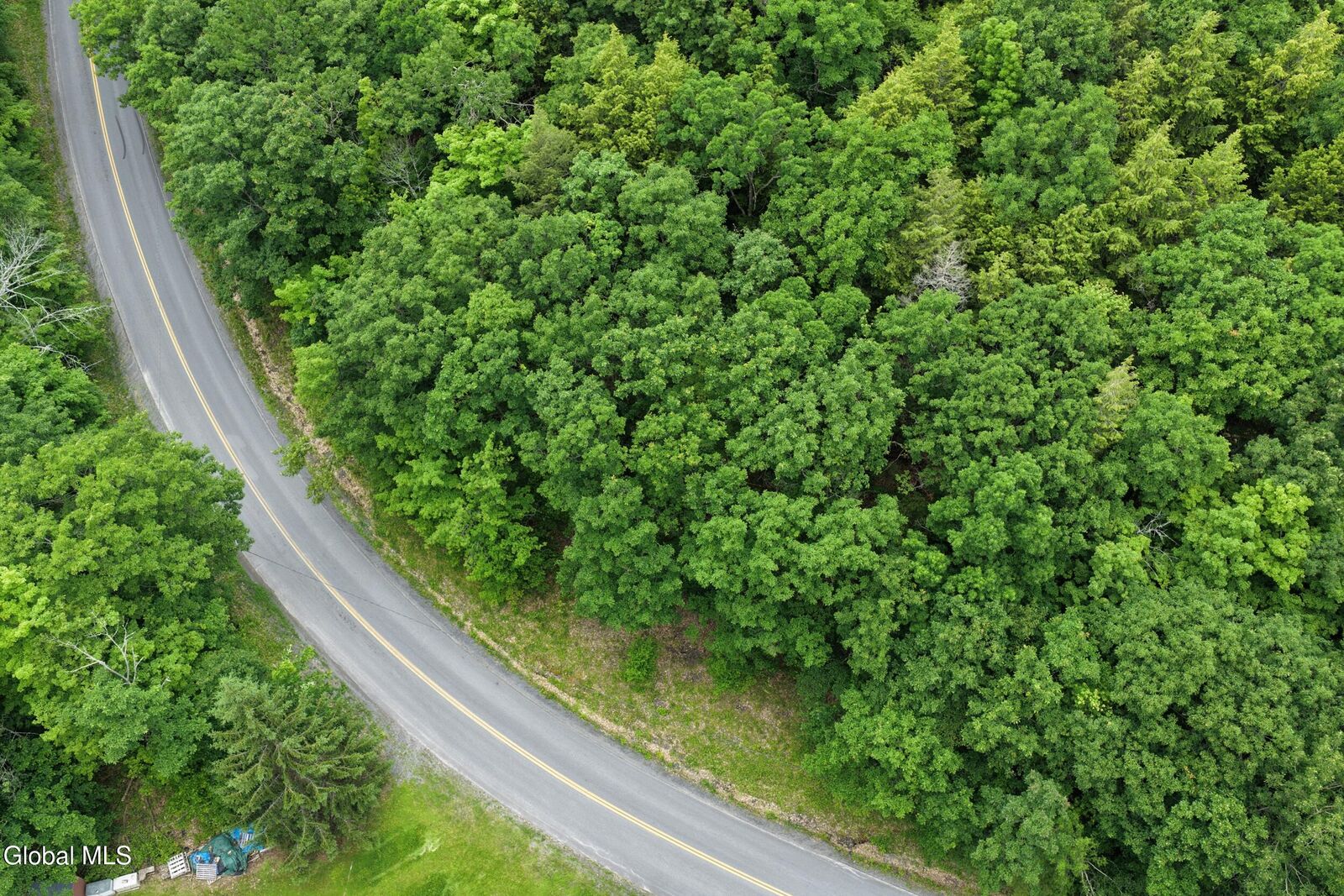 Property Photo:  L1.00 Cotton Hill Road  NY 12023 