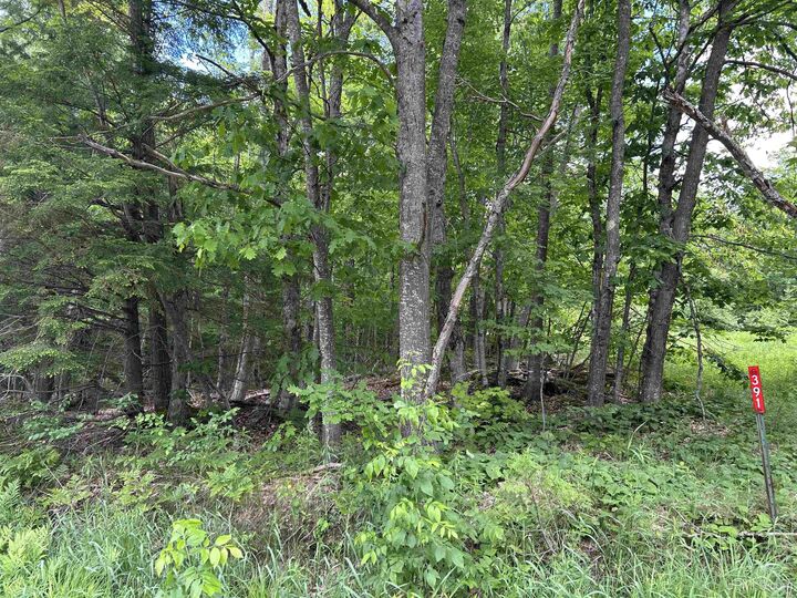 Property Photo: Tbd N Carlshend Road MI 49885-0000