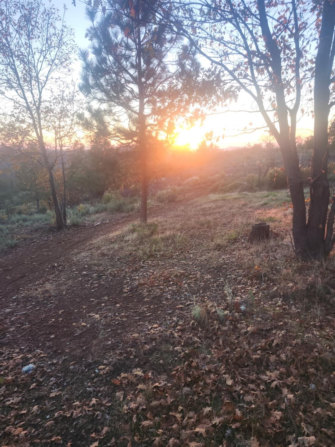 Property Photo:  19855 Incense Cedar Trail  CA 95321 
