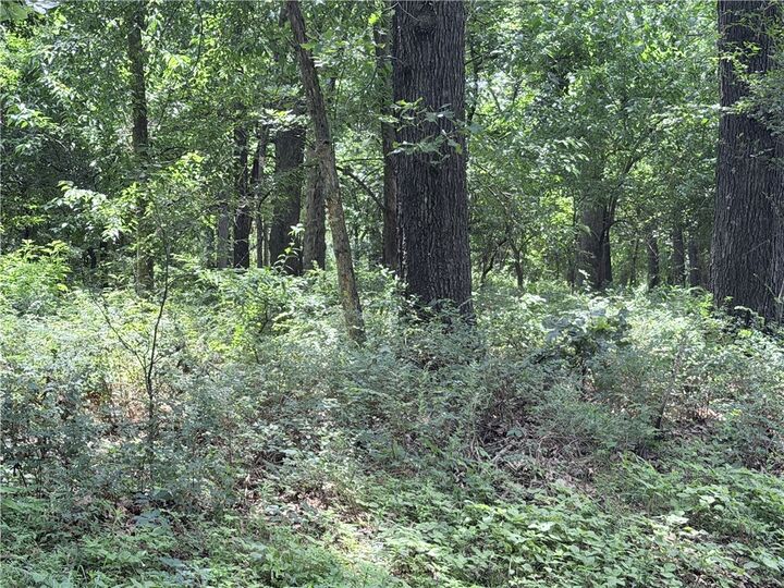 Property Photo:  State Line Road  AR 72747 