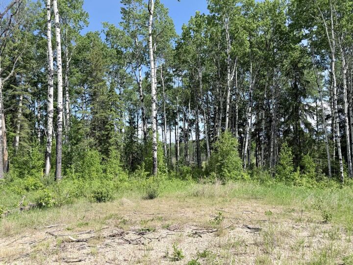 Property Photo: Block 2 Lot 7 Elk Ridge Estates AB T7S 1N9