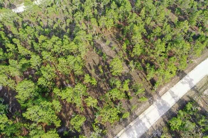 Property Photo:  0000 NE 131st Lot 7 Terrace  FL 32696 