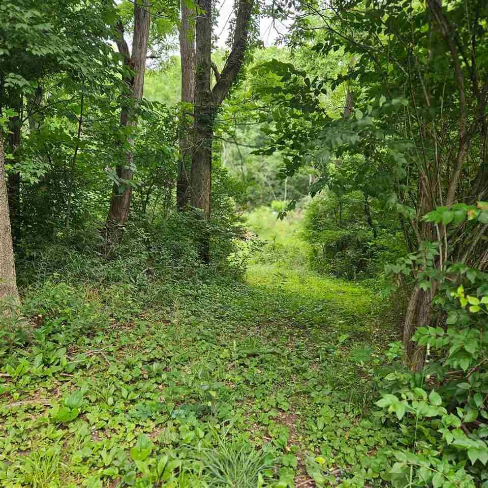 Property Photo:  1500 Sylvan Nook Drive  IN 47374 