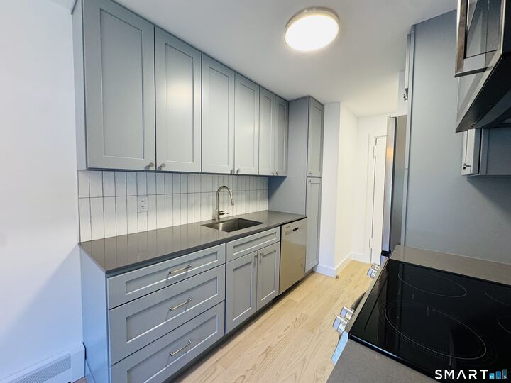 Property Photo:  29 Balance Rock Road 5  CT 06483 