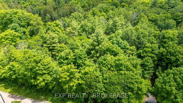 Property Photo:  1881 Elm Tree Road  ON K0H 1B0 