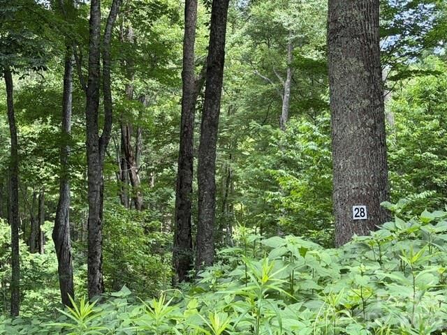 Property Photo: Lot 28 Toi Trail 28 NC 28751