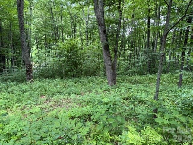 Property Photo:  Lot 36 Odalu Trail 36  NC 28751 