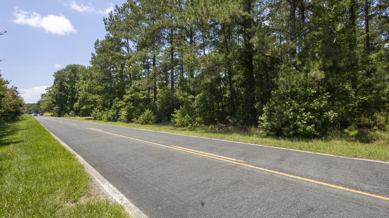 Property Photo:  0 Toney Bay Road  SC 29059 
