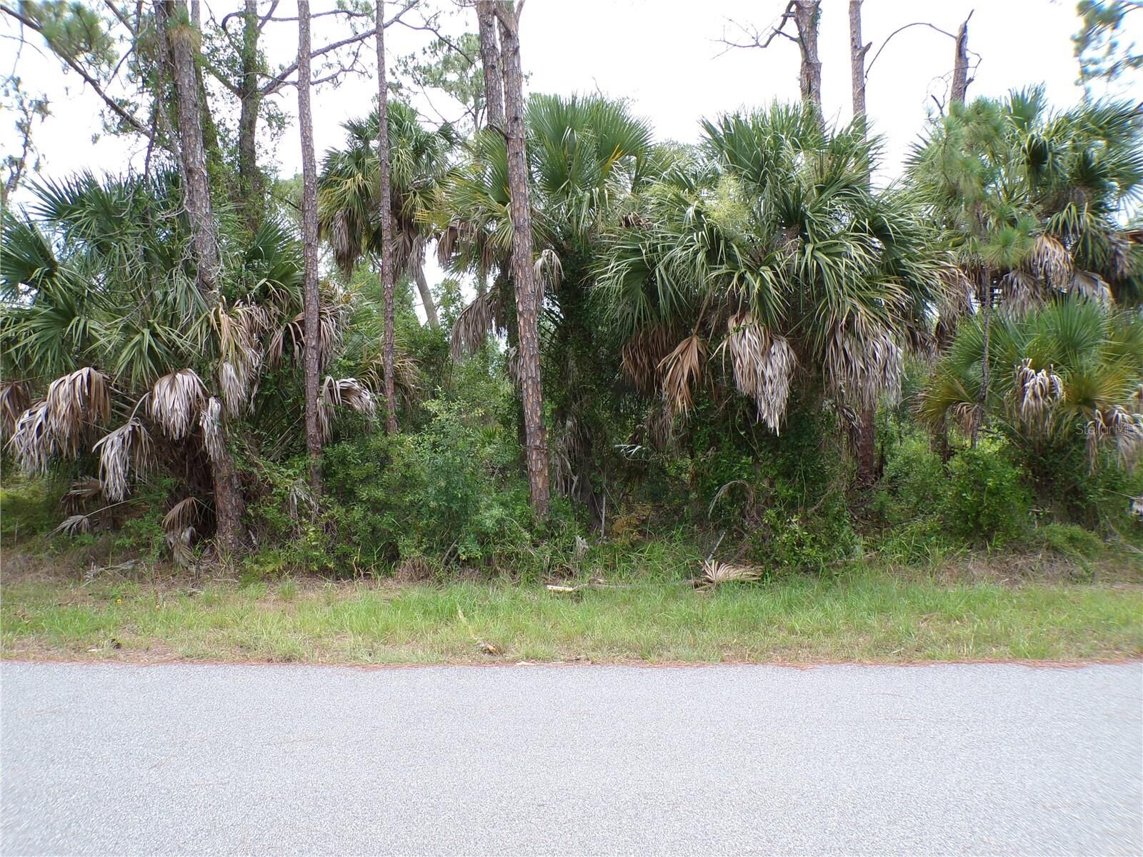 Property Photo: Lummus Street FL 34286