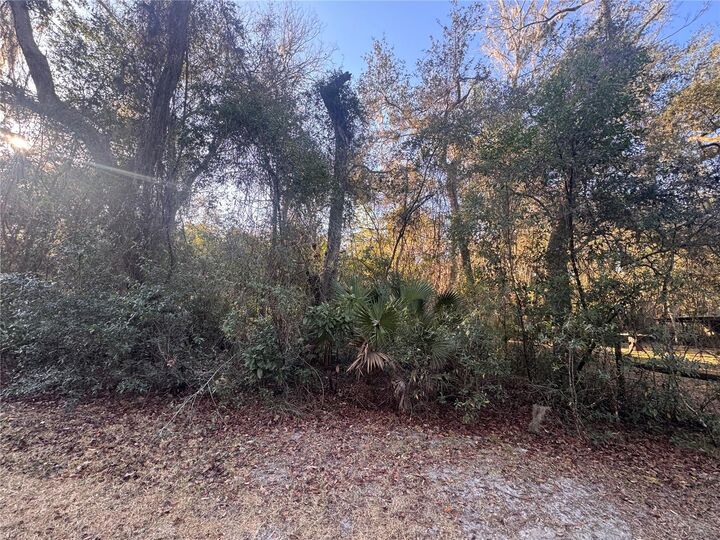 Property Photo:  0 198th Lane  FL 32134 