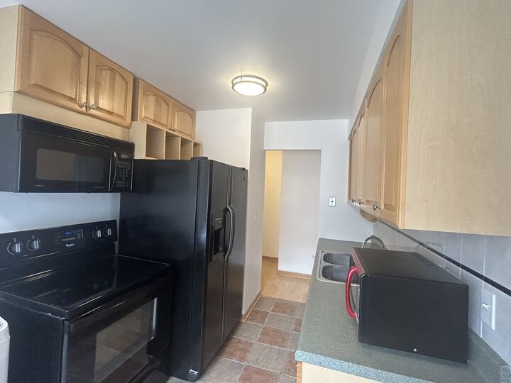 Property Photo:  8667 1/2 W Foster Avenue 1C  IL 60656 