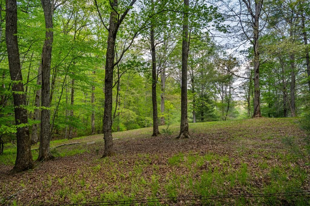 Property Photo:  Lot 3-4 Scouts Overlook Lane  GA 30560 
