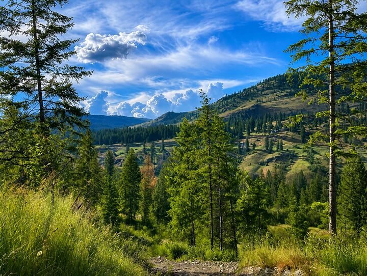 Property Photo: 3634 Highway 25 N WA 99157
