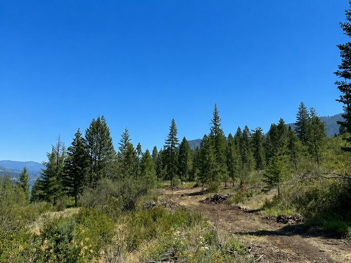 Property Photo:  3634 Highway 25 N  WA 99157 