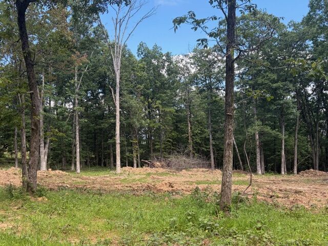 Property Photo:  Tbd Freedom Road  AR 72959 