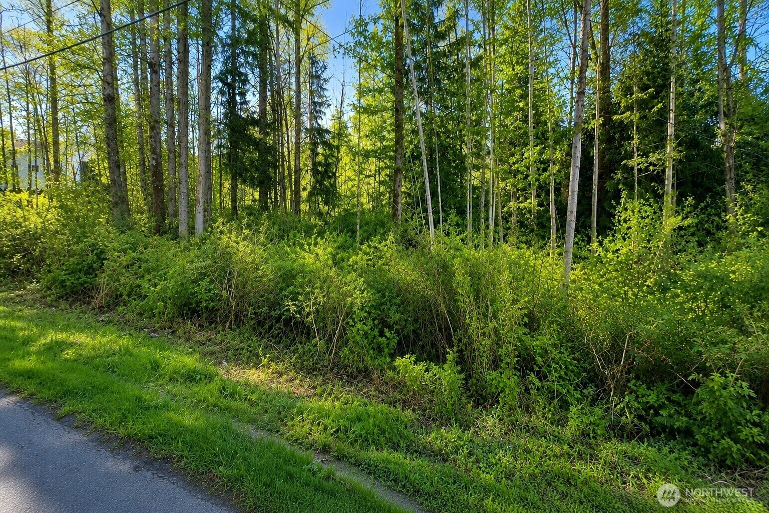 Property Photo:  11507  Manor Way  WA 98087 