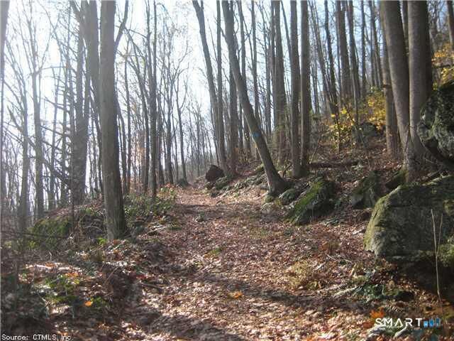Property Photo:  168 Cascade Ridge  CT 06489 