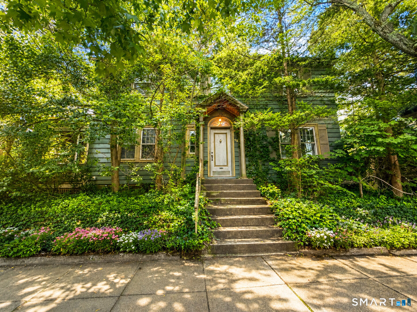 Property Photo:  972 Elm Street  CT 06511 