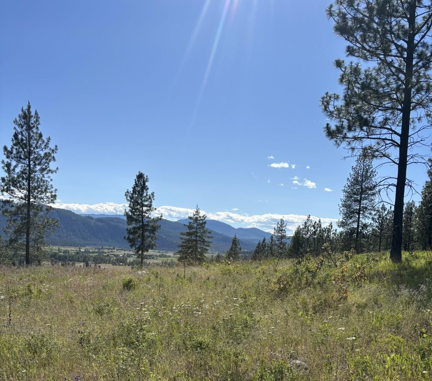 Property Photo:  2392 Cozy Nook Rd  WA 99109 