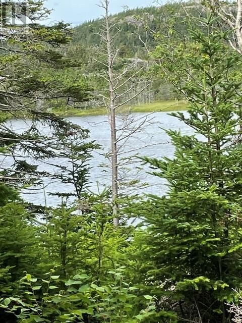 Property Photo:  35 Conception Bay Highway  NL  