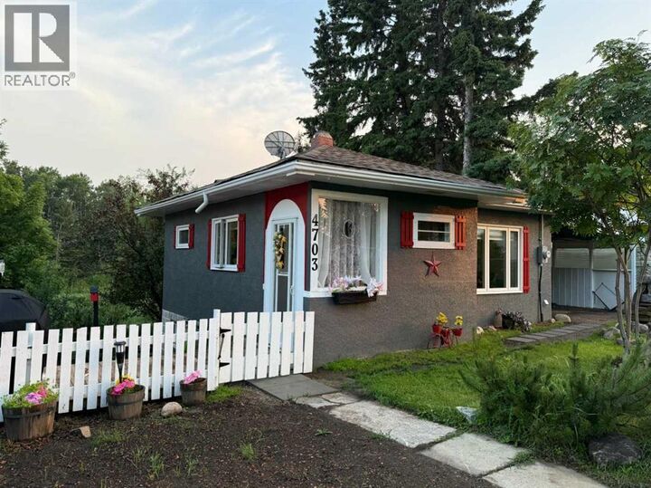 Property Photo:  4703 47 Avenue  AB T0B 3K0 
