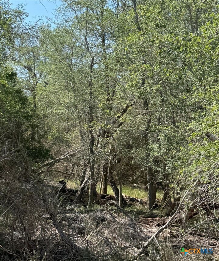 Property Photo:  421 Kerr Avenue  TX 78161 