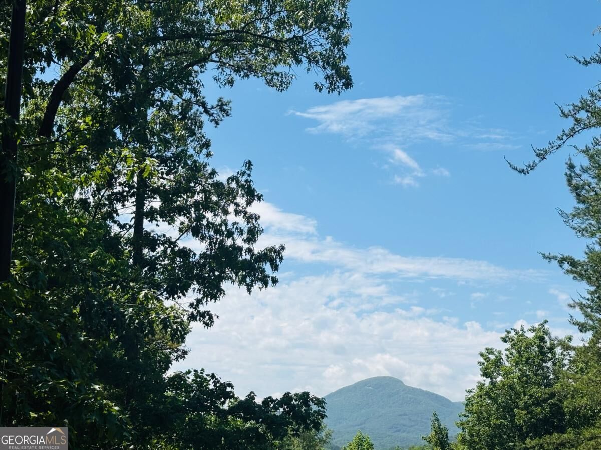 Property Photo: 0 Rosen Strasse - Lot 141 GA 30545