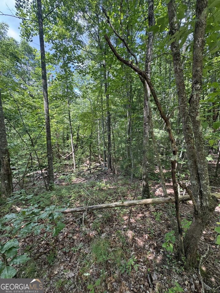 Property Photo: Tr 3,4 Lakeland Drive GA 30540