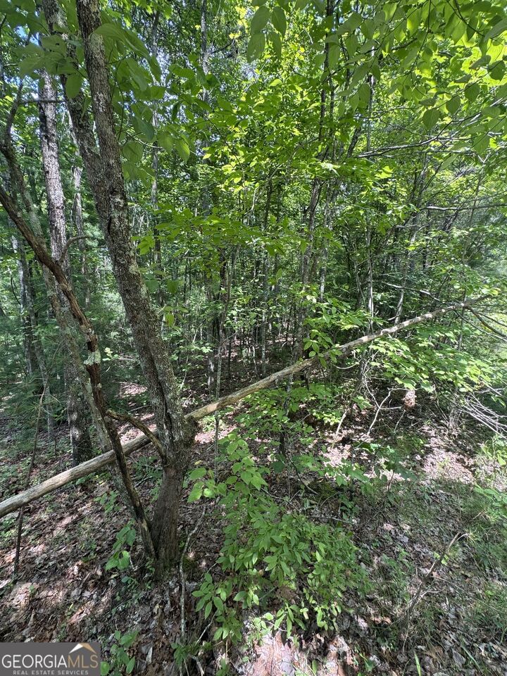 Property Photo:  Tr 3,4 Lakeland Drive  GA 30540 