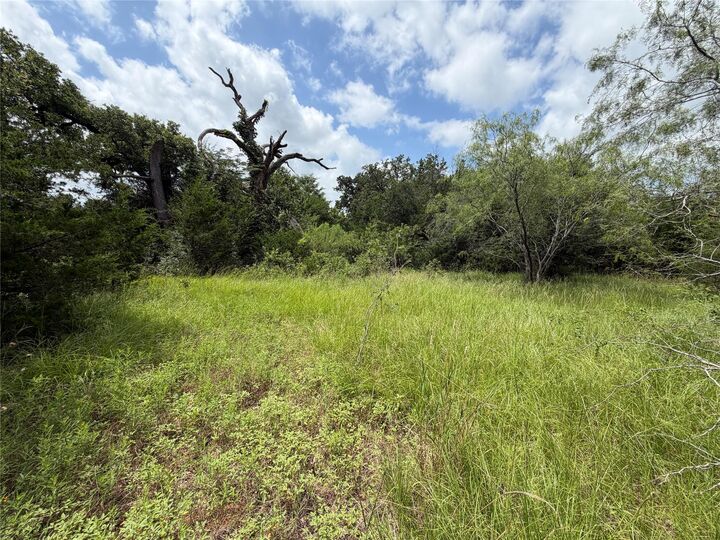 Property Photo: 0 Lcr 758 TX 76687