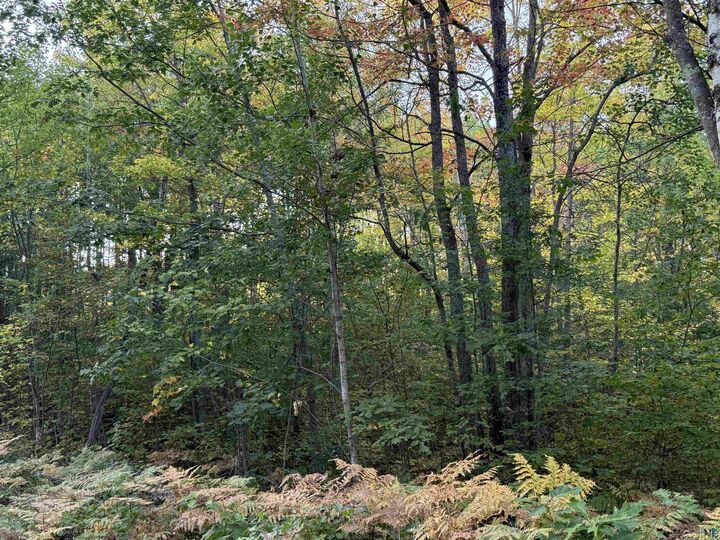 Property Photo:  000 Highway 2  WI 54847 