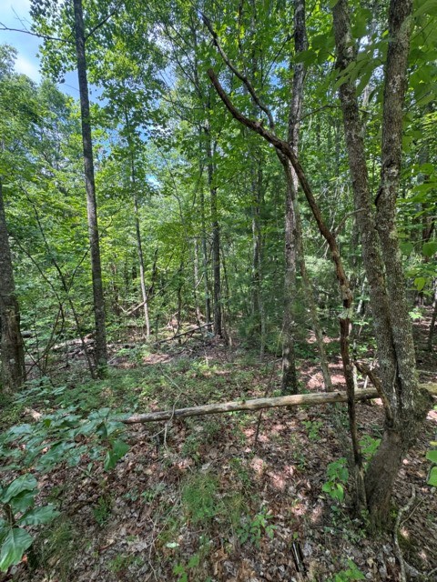 Property Photo: Tr 3 & 4 Lakeland Drive GA 30540