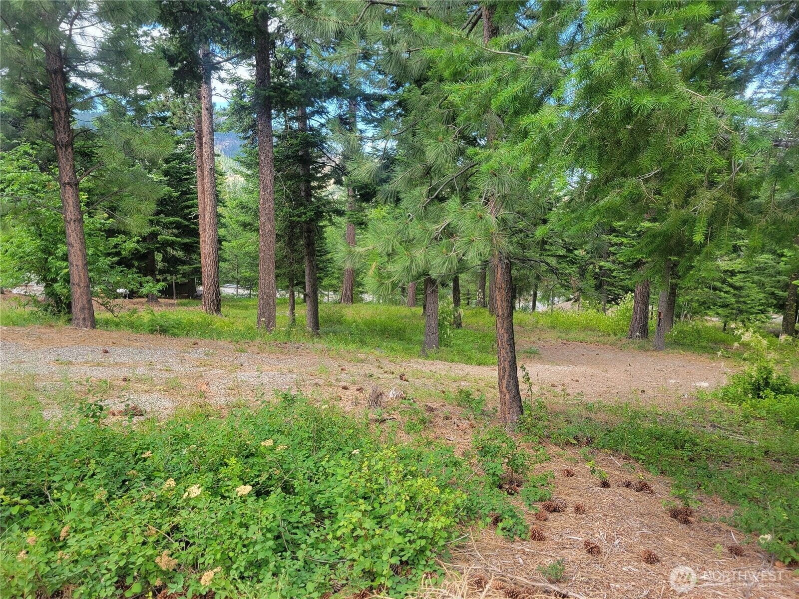 Property Photo:  6757  Forest Ridge Drive  WA 98801 