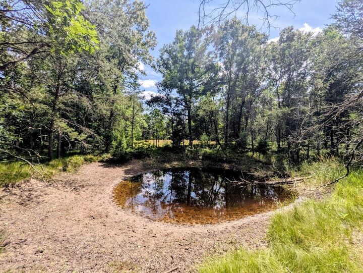 Property Photo:  859 Cypress Avenue  WI 53934 