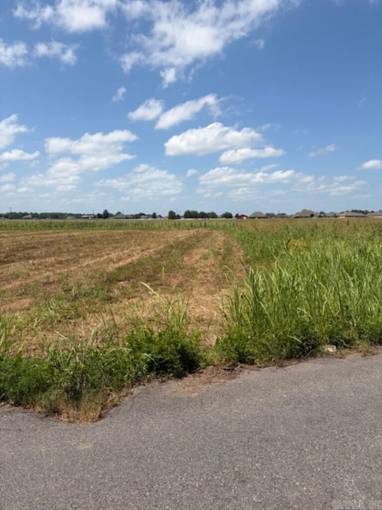 Property Photo: Lot 5 Upper Steel Bend Road AR 72142