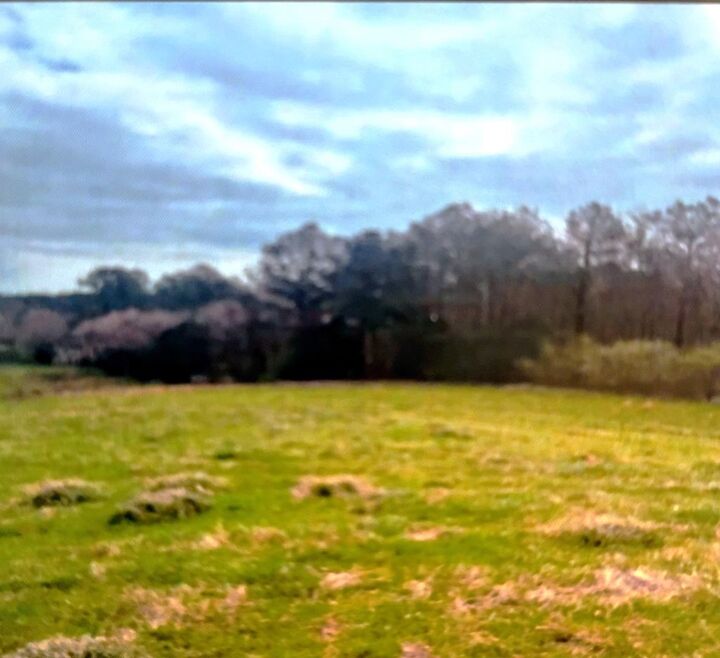 Property Photo:  00 Maughtey Chapel Rd  GA 30710 
