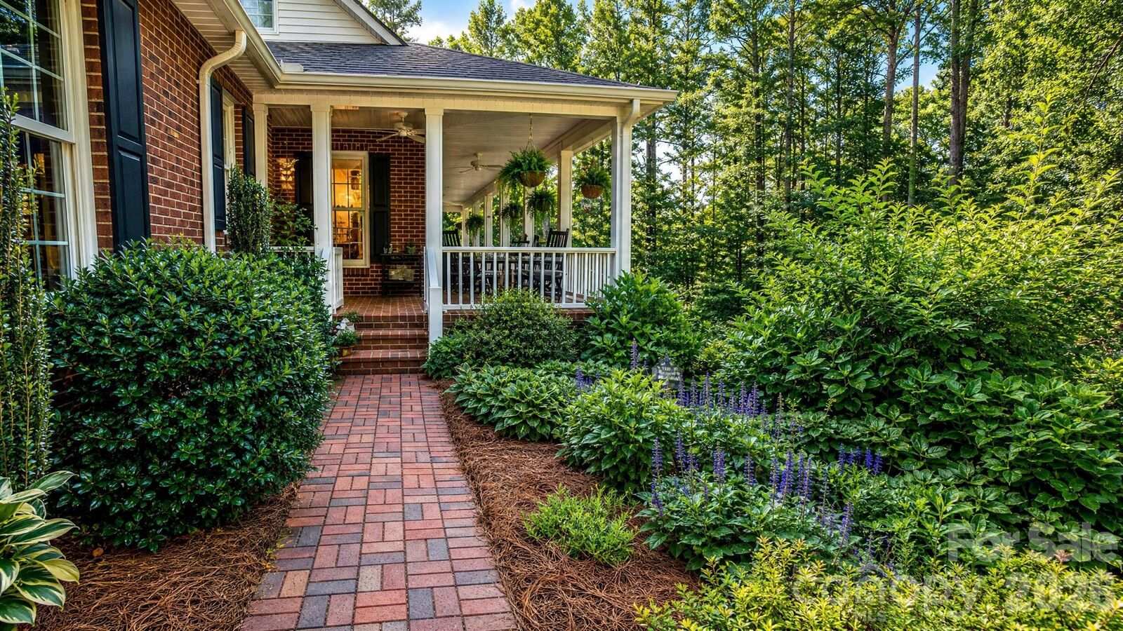 Property Photo: 2086 Warrior Fork Trail NC 28655