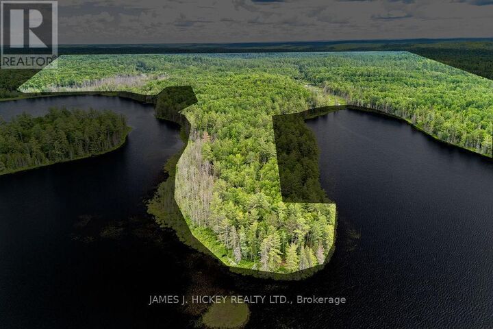 299 Ko Lodge Trail Road — photo 1