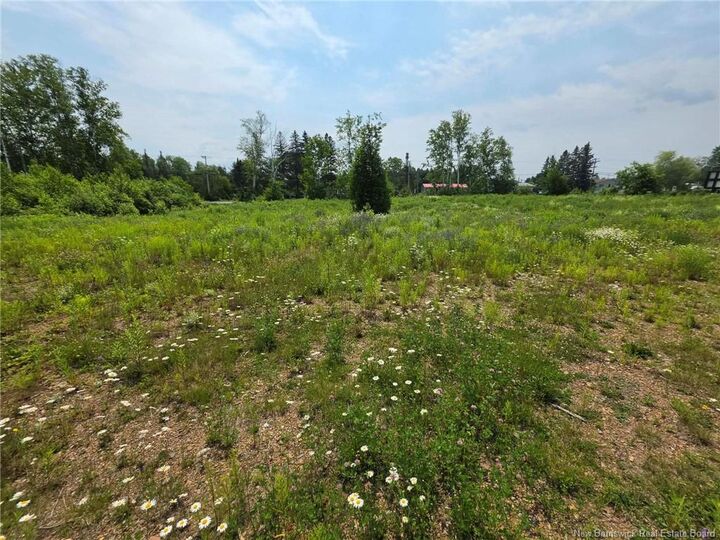 Property Photo:  1.26 Acres Viateur Avenue  NB E2A 0C1 