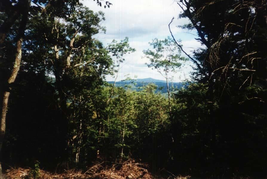 Property Photo: Lot 4B-29-2 Joslin Road NH 03431
