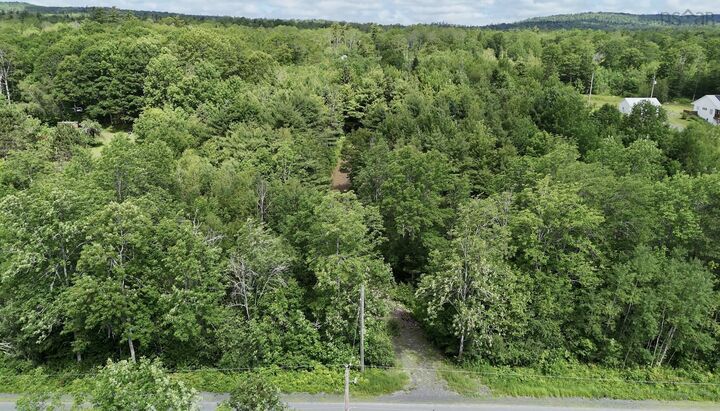 Property Photo:  Lot P1 Mines Road  NS B0P 1P0 