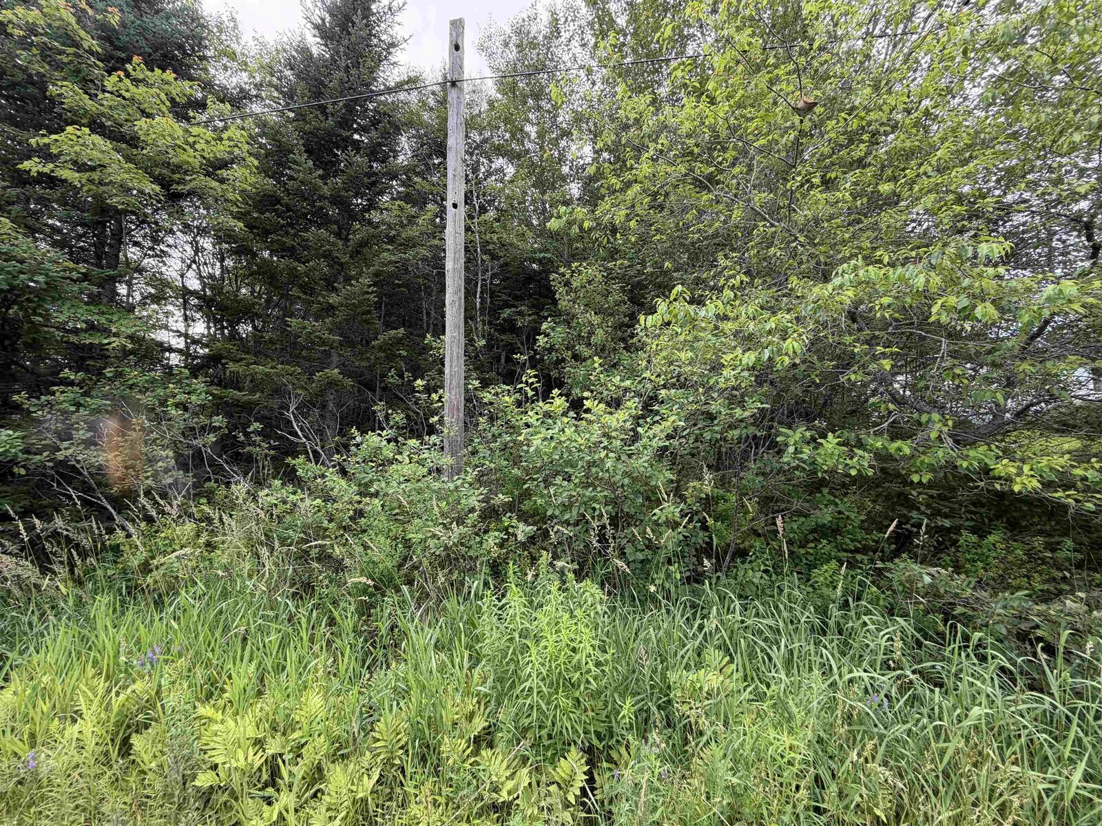 Property Photo:  Lot 14 Highway 2  NS B0N 2J0 