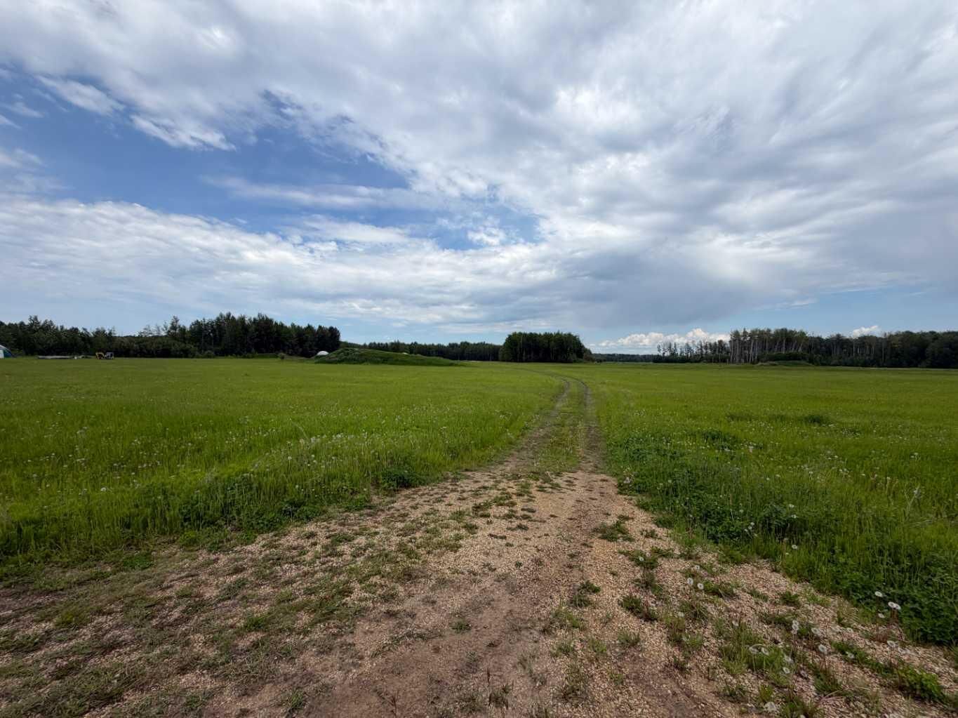 Property Photo:  42 Spruce Point Estates Road  AB T0G 2K0 