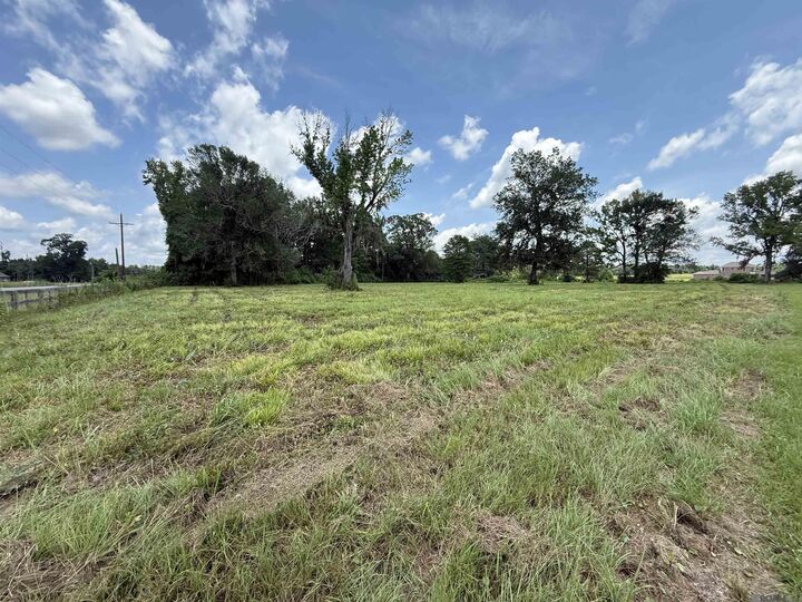 Property Photo: 22390 Plank Rd LA 70791